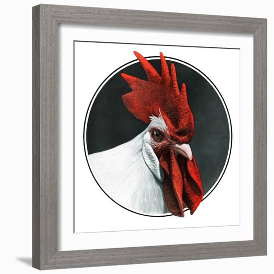 Rooster Photograph-C.R. Patterson-Framed Giclee Print