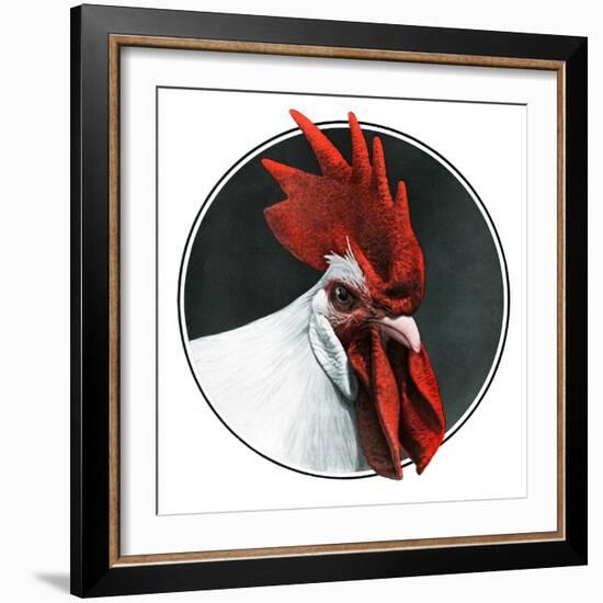 Rooster Photograph-C.R. Patterson-Framed Giclee Print