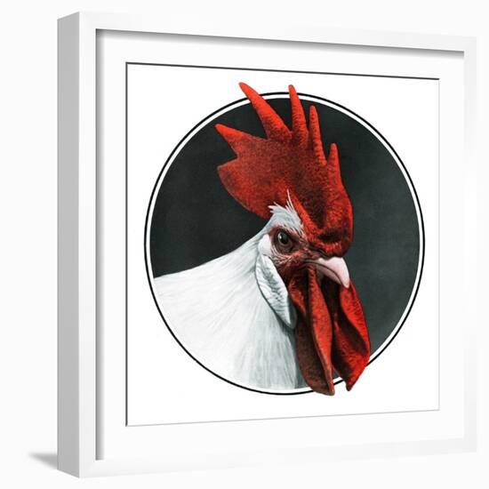 Rooster Photograph-C.R. Patterson-Framed Giclee Print