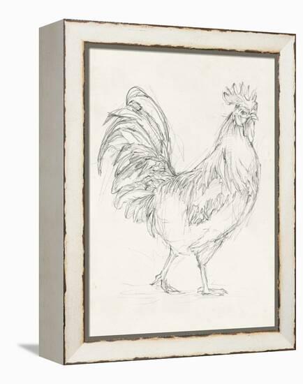 Rooster Sketch I-Ethan Harper-Framed Stretched Canvas