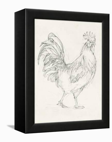 Rooster Sketch I-Ethan Harper-Framed Stretched Canvas