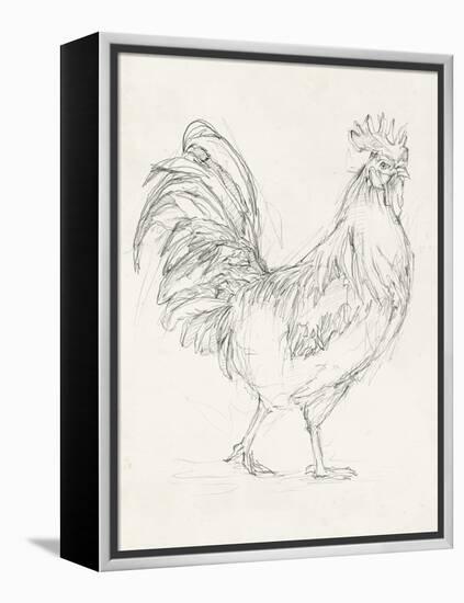 Rooster Sketch I-Ethan Harper-Framed Stretched Canvas