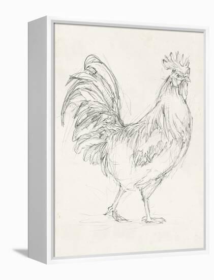 Rooster Sketch I-Ethan Harper-Framed Stretched Canvas