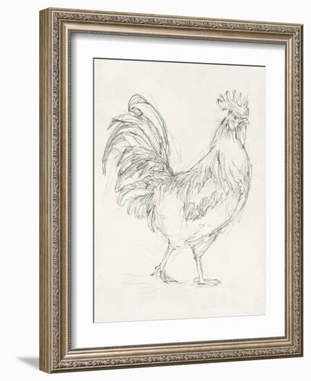 Rooster Sketch I-Ethan Harper-Framed Art Print