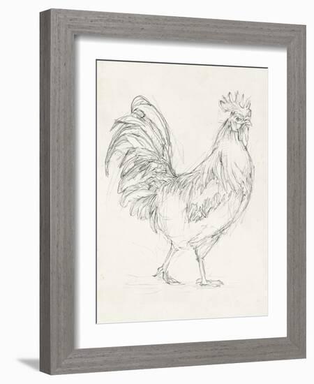 Rooster Sketch I-Ethan Harper-Framed Art Print