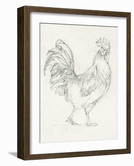 Rooster Sketch I-Ethan Harper-Framed Art Print