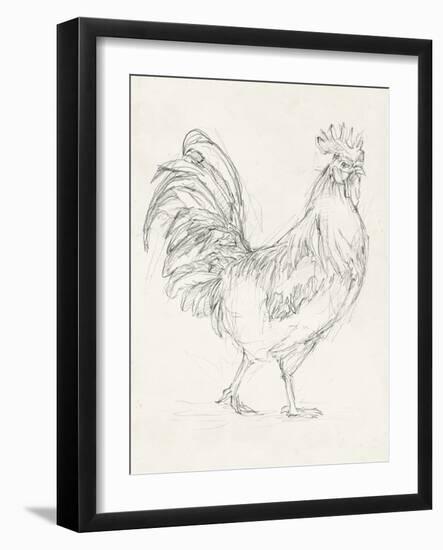 Rooster Sketch I-Ethan Harper-Framed Art Print