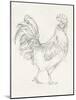 Rooster Sketch I-Ethan Harper-Mounted Art Print