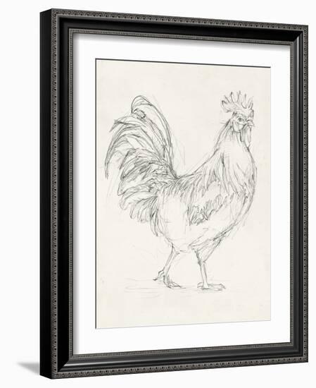 Rooster Sketch I-Ethan Harper-Framed Art Print