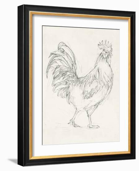 Rooster Sketch I-Ethan Harper-Framed Art Print