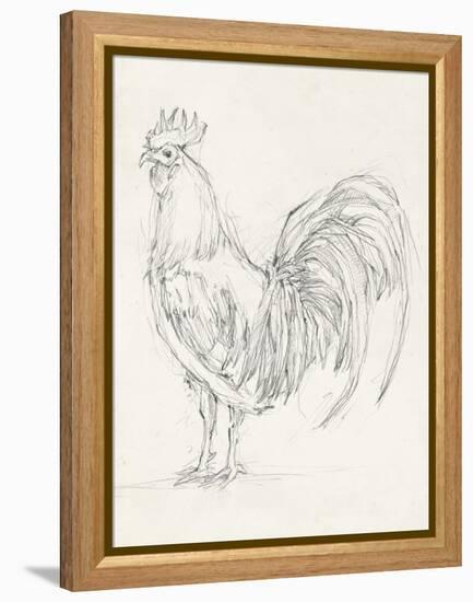 Rooster Sketch II-Ethan Harper-Framed Stretched Canvas