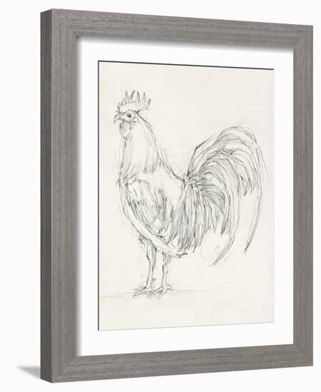 Rooster Sketch II-Ethan Harper-Framed Art Print