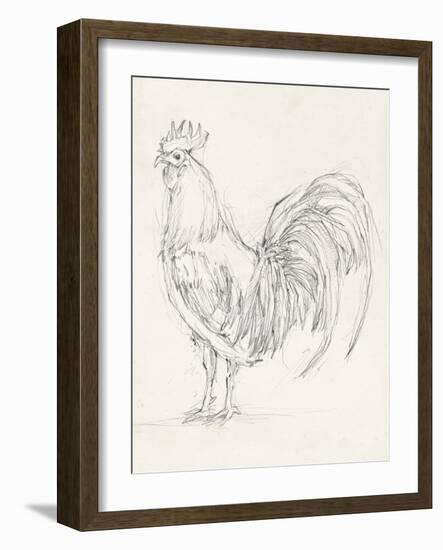 Rooster Sketch II-Ethan Harper-Framed Art Print