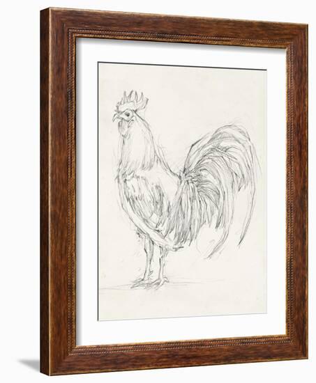 Rooster Sketch II-Ethan Harper-Framed Art Print