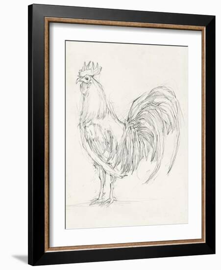 Rooster Sketch II-Ethan Harper-Framed Art Print