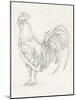 Rooster Sketch II-Ethan Harper-Mounted Art Print