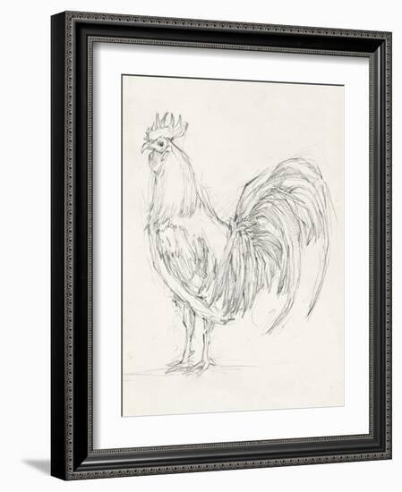 Rooster Sketch II-Ethan Harper-Framed Art Print