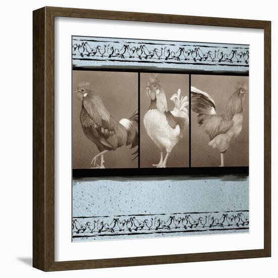 Rooster Ware Aqua III-Kory Fluckiger-Framed Giclee Print