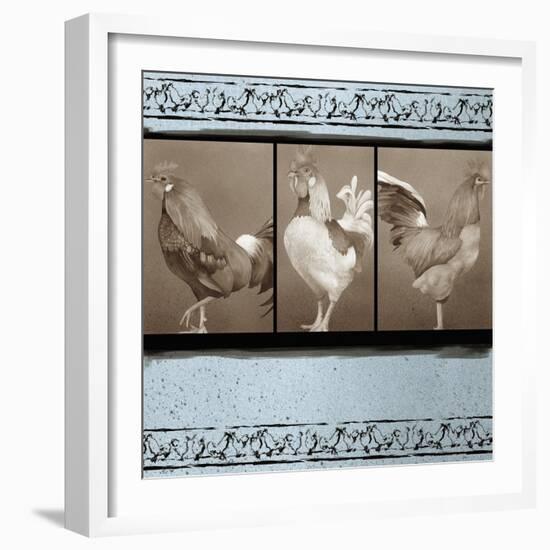Rooster Ware Aqua III-Kory Fluckiger-Framed Giclee Print