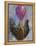 Rooster with Baloon-Joseph Marshal Foster-Framed Stretched Canvas