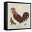 Rooster-Teofilo Olivieri-Framed Premier Image Canvas