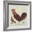 Rooster-Teofilo Olivieri-Framed Giclee Print