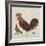 Rooster-Teofilo Olivieri-Framed Giclee Print