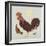 Rooster-Teofilo Olivieri-Framed Giclee Print