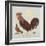 Rooster-Teofilo Olivieri-Framed Giclee Print