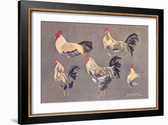 Roosters and Hens-null-Framed Art Print