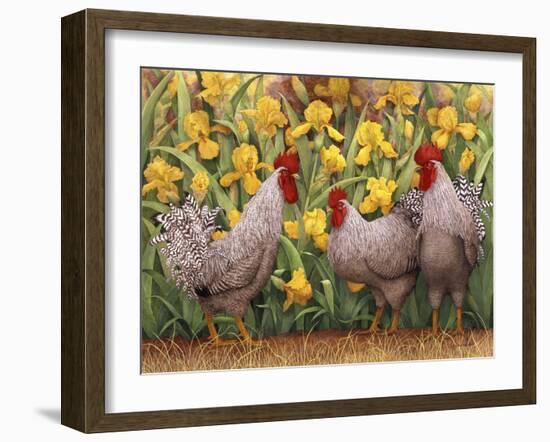 Roosters en Place II-Marcia Matcham-Framed Art Print