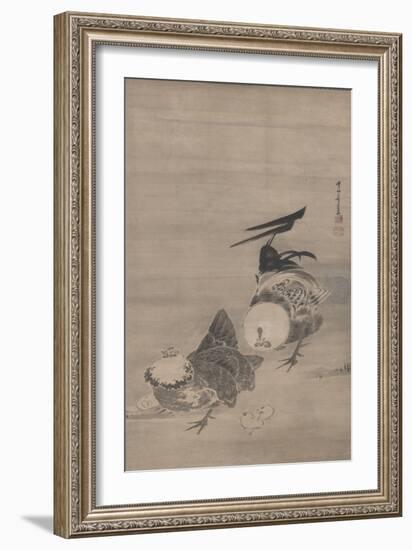 Roosters, Hen, and Chicks, right of a Pair, 1795 (Ink on Paper) (Pair to 3742191)-Ito Jakuchu-Framed Giclee Print