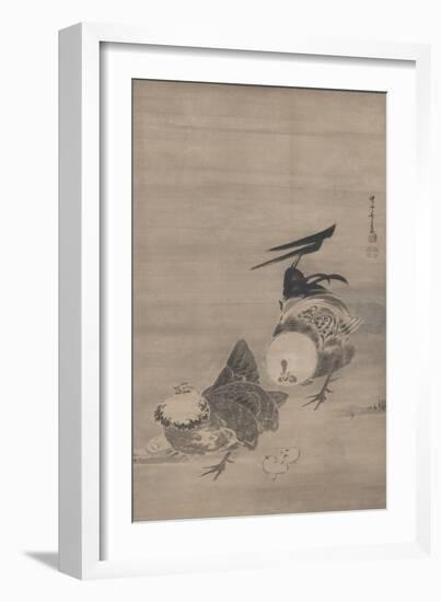 Roosters, Hen, and Chicks, right of a Pair, 1795 (Ink on Paper) (Pair to 3742191)-Ito Jakuchu-Framed Giclee Print