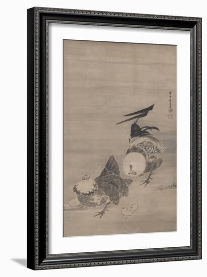 Roosters, Hen, and Chicks, right of a Pair, 1795 (Ink on Paper) (Pair to 3742191)-Ito Jakuchu-Framed Giclee Print