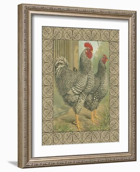 Roosters II-Cassel-Framed Art Print