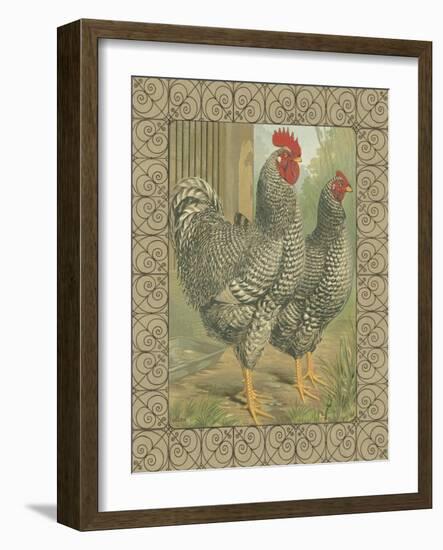 Roosters II-Cassel-Framed Art Print