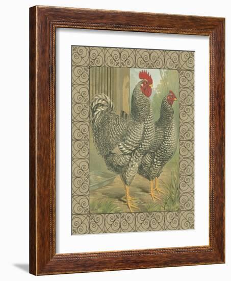 Roosters II-Cassel-Framed Art Print