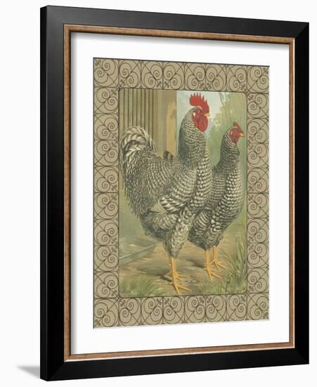 Roosters II-Cassel-Framed Art Print