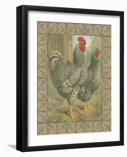Roosters II-Cassel-Framed Art Print