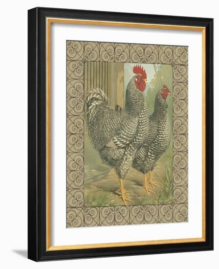 Roosters II-Cassel-Framed Art Print