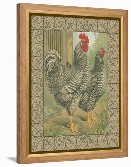 Roosters II-Cassel-Framed Stretched Canvas