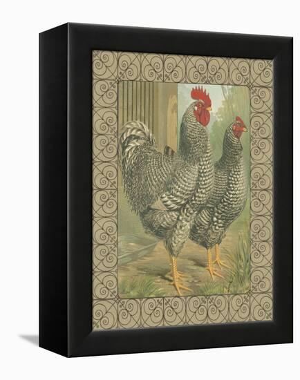 Roosters II-Cassel-Framed Stretched Canvas