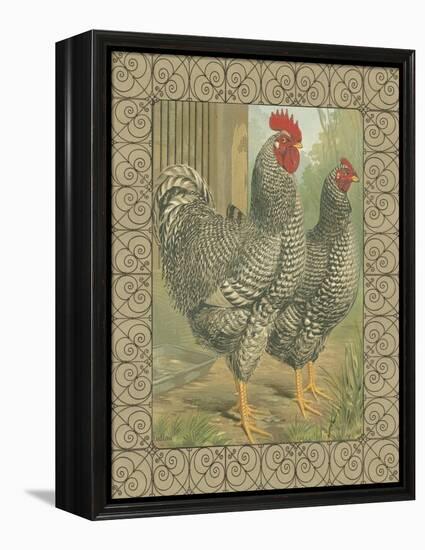 Roosters II-Cassel-Framed Stretched Canvas