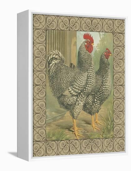 Roosters II-Cassel-Framed Stretched Canvas