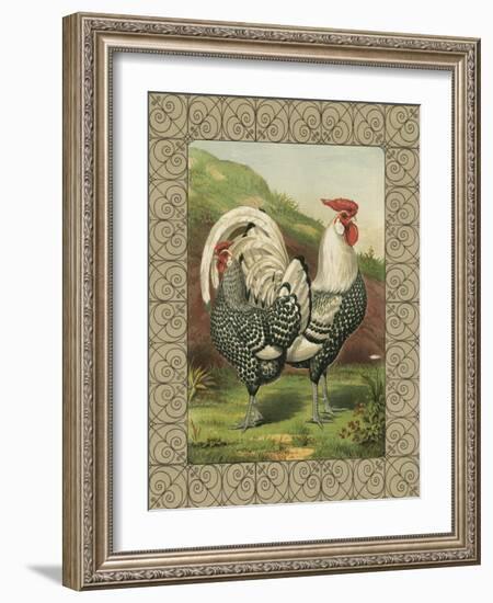 Roosters III-Cassel-Framed Art Print