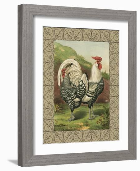 Roosters III-Cassel-Framed Art Print