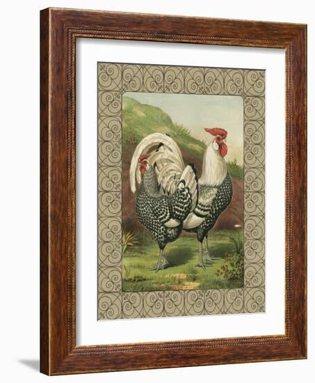 Roosters III-Cassel-Framed Art Print