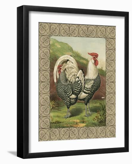 Roosters III-Cassel-Framed Art Print