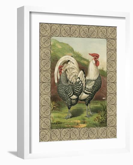 Roosters III-Cassel-Framed Art Print