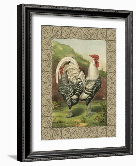 Roosters III-Cassel-Framed Art Print